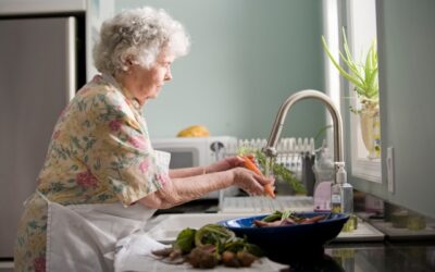 “Snowbird Medicare: A Two-State Plan That Actually Works”